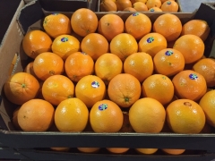 Посмотреть объявление Апельсины из Испании
