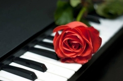 Посмотреть объявление Онлайн уроки по фортепиано и сольфеджио 