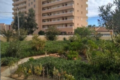 Посмотреть объявление Недвижимость в Испании, Новые квартиры в Ла Мата