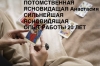 фотография №1