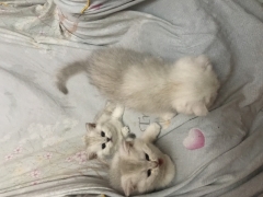 Посмотреть объявление Забери меня скорей, увези за сто морей..