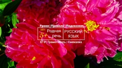 Посмотреть объявление Репетитор по русскому языку. 