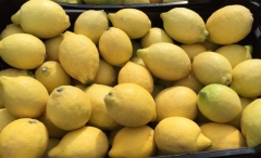 Посмотреть объявление Лимоны из Испании