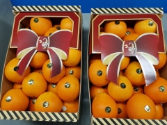 Посмотреть объявление Продаем апельсин из Испании