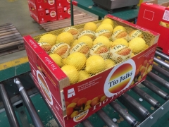 Посмотреть объявление Предлагаем оптовые поставки лимона из Испании