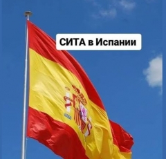 Cita в Extranjería, DGT, Registro Civil ..