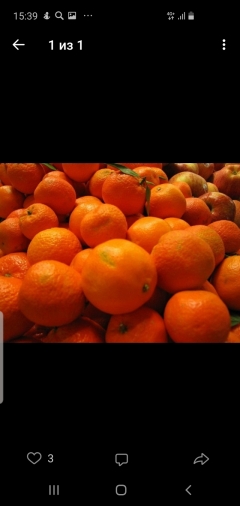 Посмотреть объявление Продам апельсины
