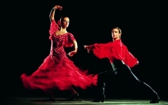 Посмотреть объявление Развлекательный урок танца фламенко