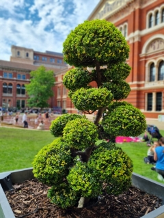 Посмотреть объявление Уход за садом.  Ландшафтные работы