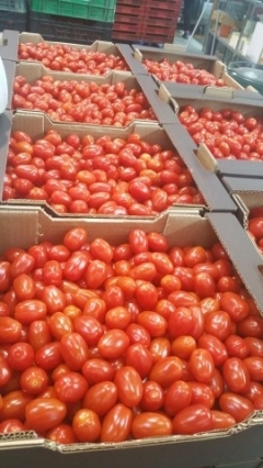 Посмотреть объявление Предлагаем оптовые поставки томатов из Испании