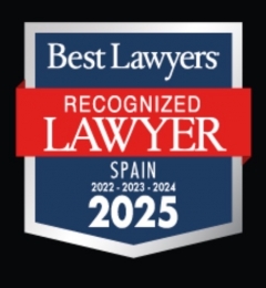 УПРОЩЕННОЕ ПОЛУЧЕНИЕ ВНЖ