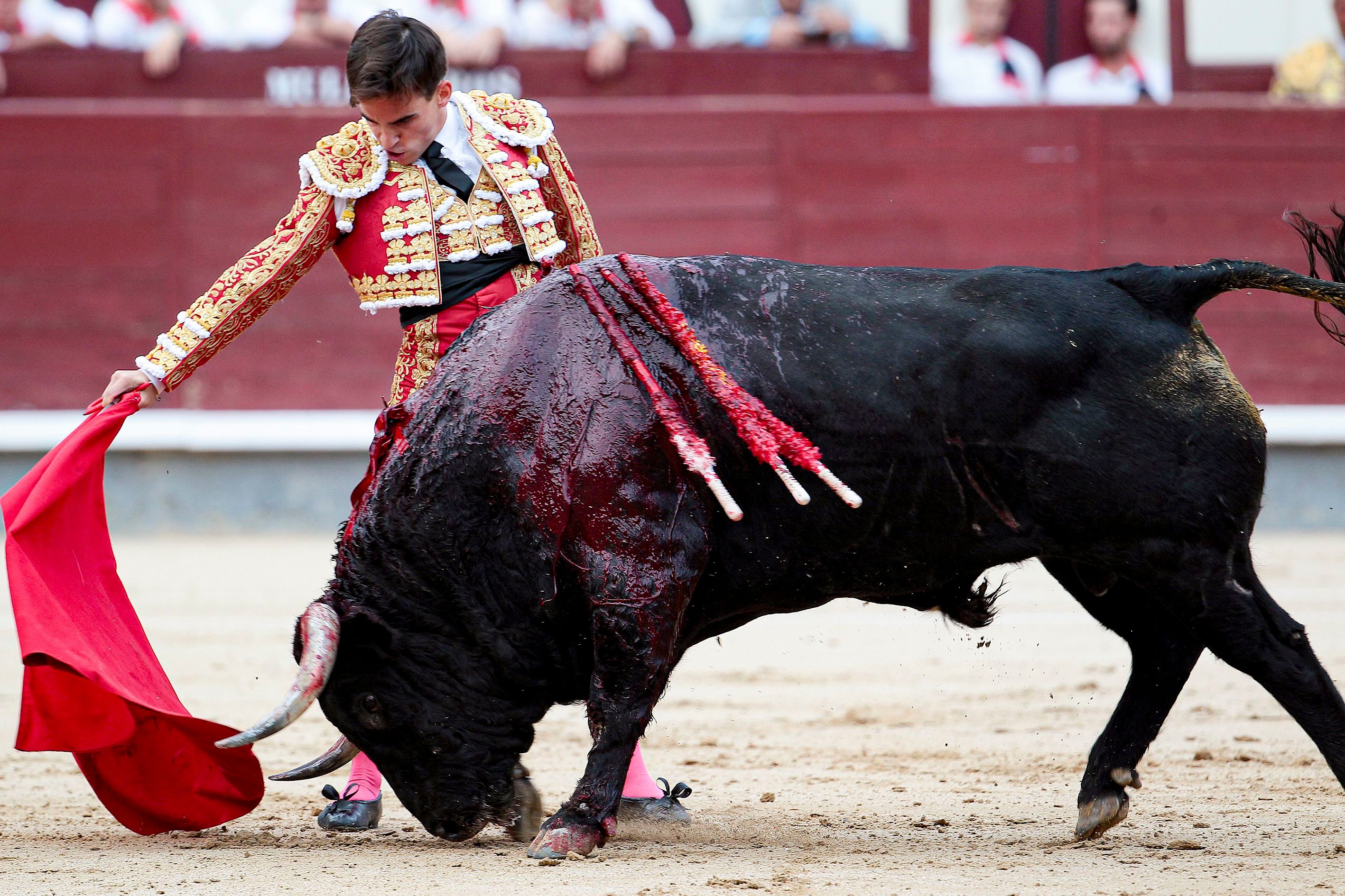 Bette ford bullfighter