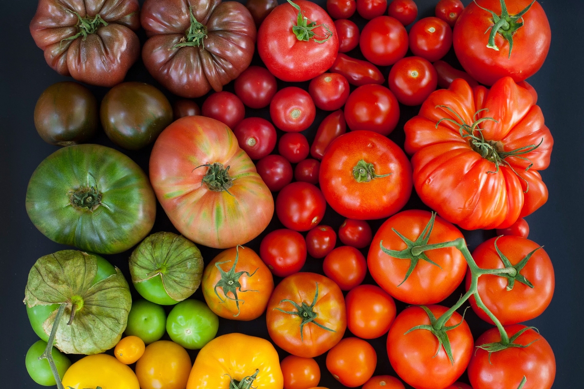 Любимые сорта томатов - Страница 3 - Форум