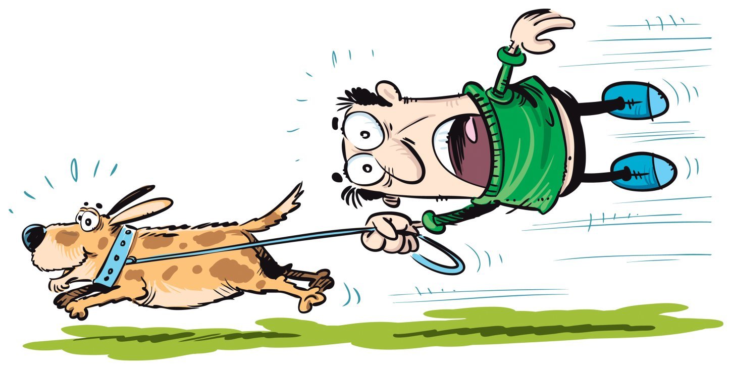 Карикатура собака на поводке