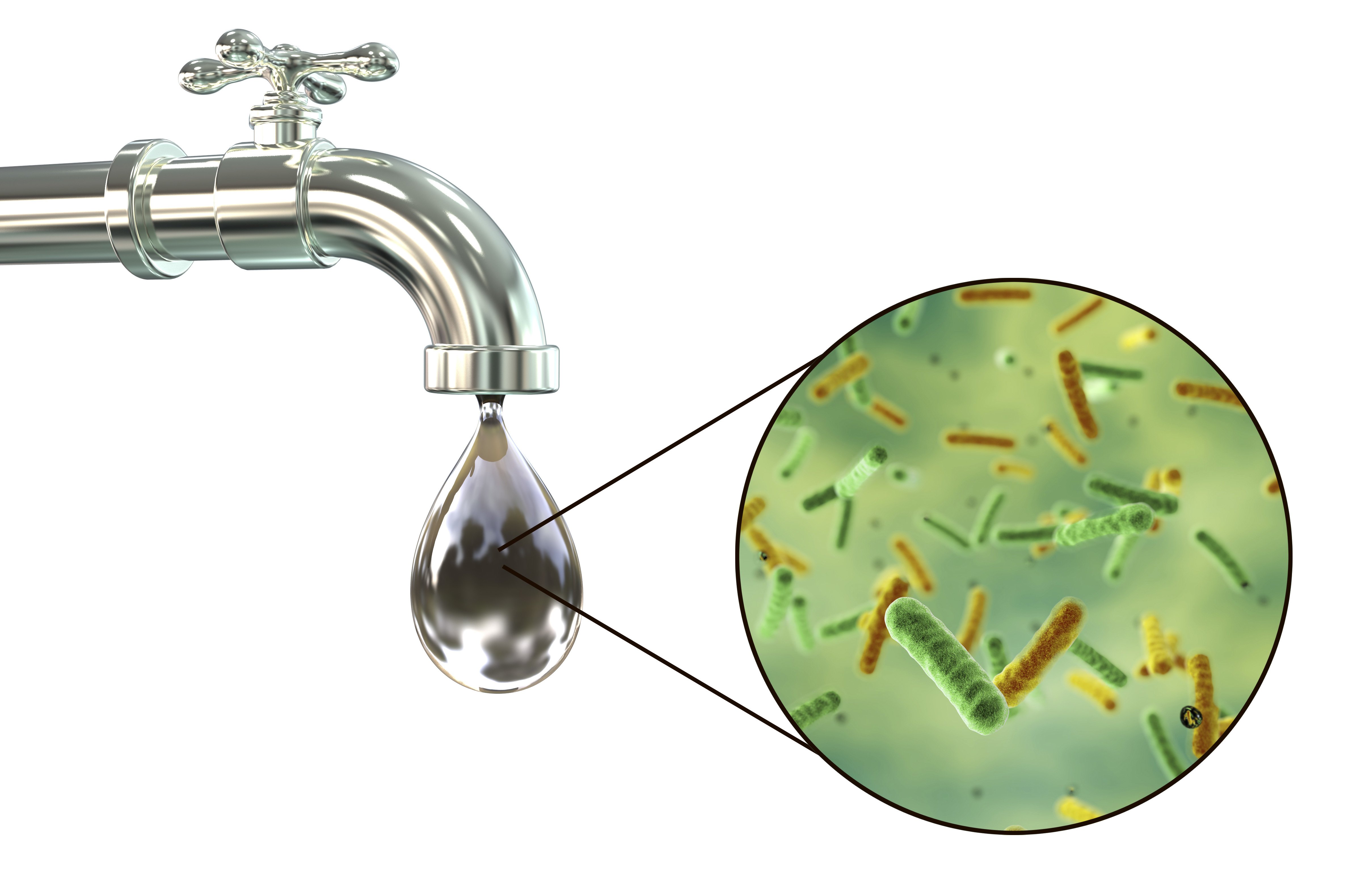 Микроорганизмы питьевой воды. Колиформные бактерии в воде. Термотолерантные колиформные бактерии. Микроорганизмы в воде. Термотолерантные колиформные бактерии в воде.