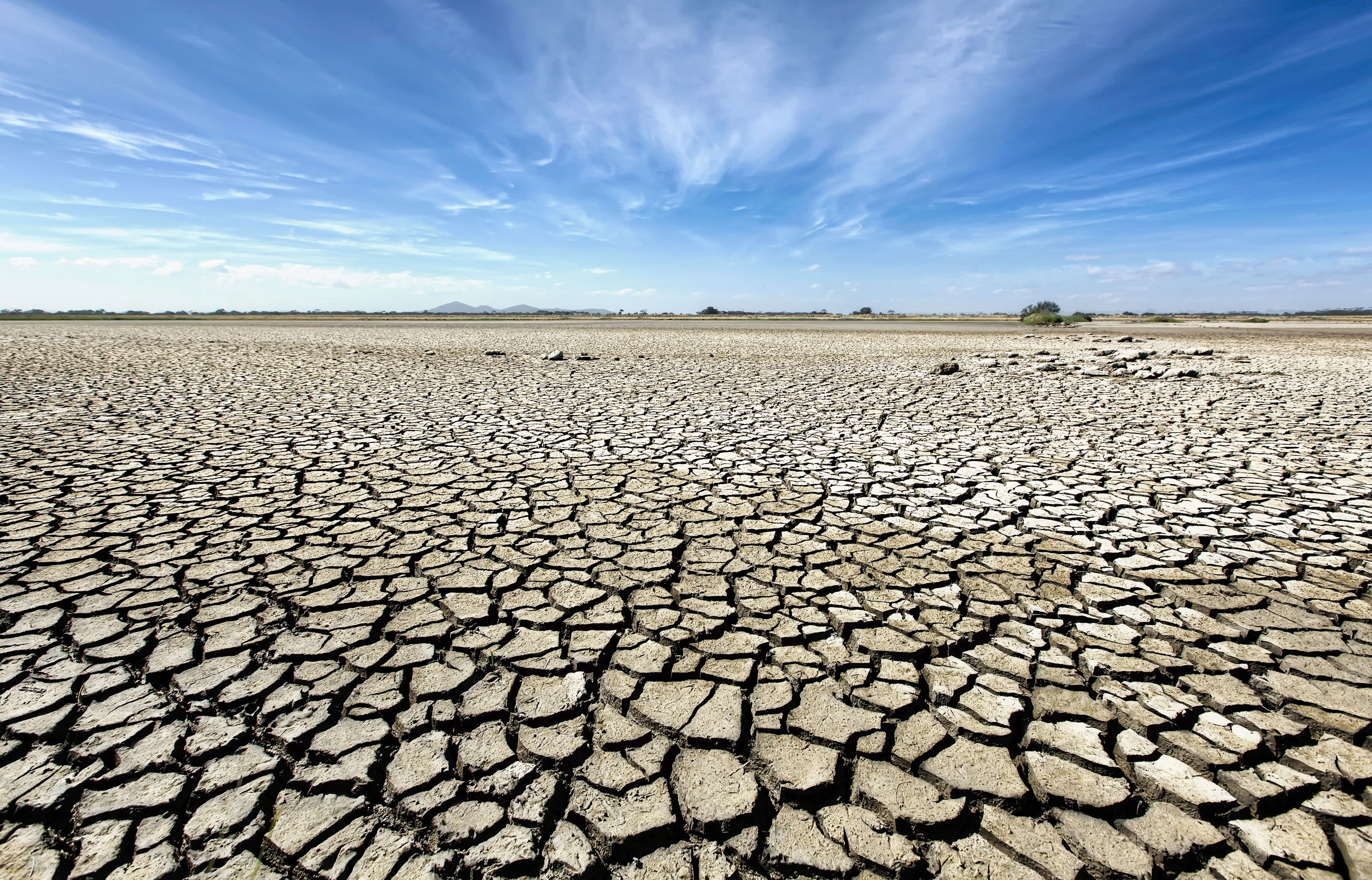 В виду длительной засухи мы часто. Опустынивание Австралии. Глобальное потепление климата опустынивание. Засуха 2022 Таджикистан. Засуха в Австралии.